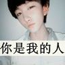 宠物狗知识大全